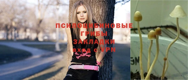 бутират Богданович