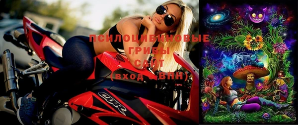ГАЛЛЮЦИНОГЕННЫЕ ГРИБЫ Богородицк