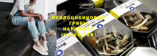 бутират Богданович
