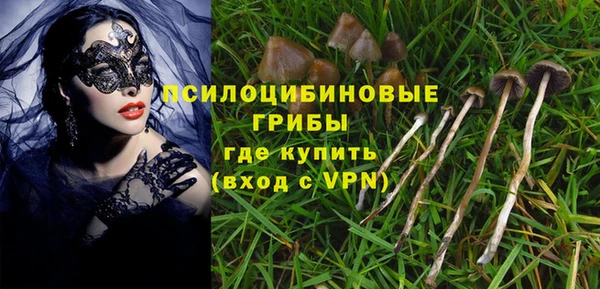 гидра Белокуриха