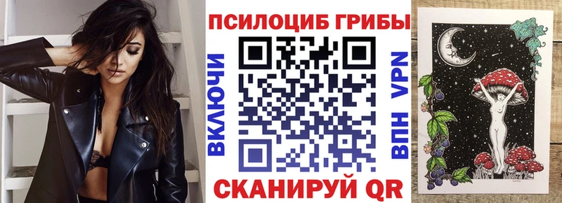 Купить закладки  Островной  Псилоцибиновые грибы Cubensis 